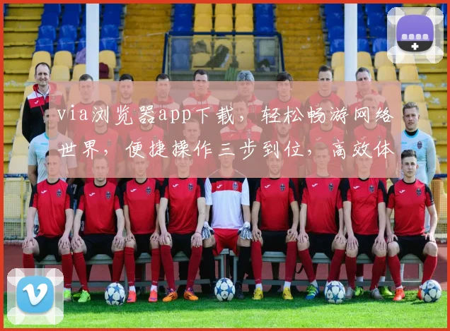via浏览器app下载，轻松畅游网络世界，便捷操作三步到位，高效体验不容错过