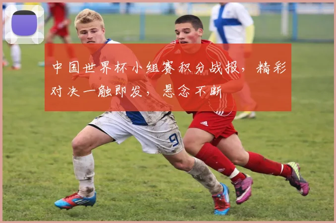 中国世界杯小组赛积分战报，精彩对决一触即发，悬念不断