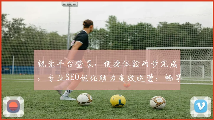 锐竞平台登录，便捷体验两步完成，专业SEO优化助力高效运营，畅享市场机遇